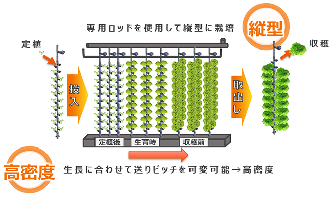 専用ロッドを使用して縦型に栽培。成長に合わせて送りピッチを可変可能→高密度。