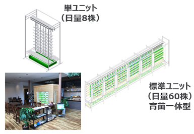 単ユニット（日量8株）、標準ユニット（日量60株）育苗一体型