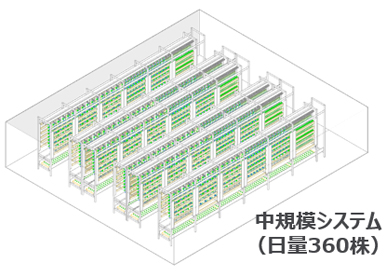 中規模システム（日量720株）